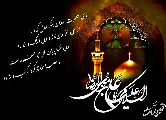 شعر شهادت امام رضا